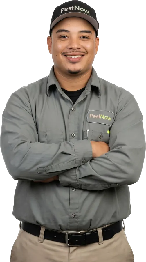 PestNow technician